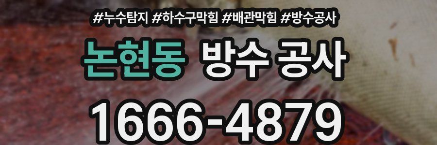논현동 방수 공사