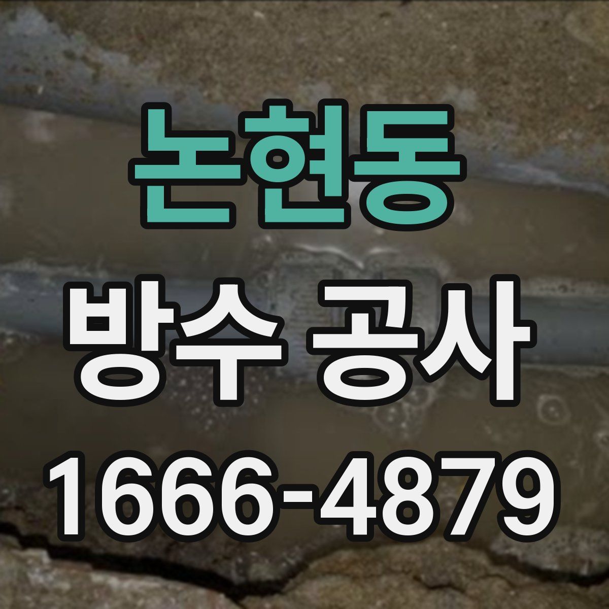 논현동 방수 공사