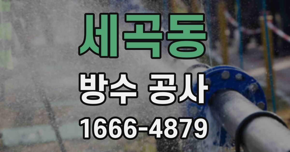 세곡동 방수 공사