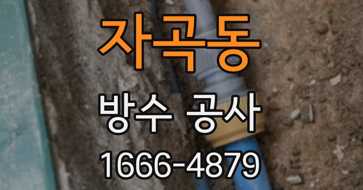 자곡동 방수 공사