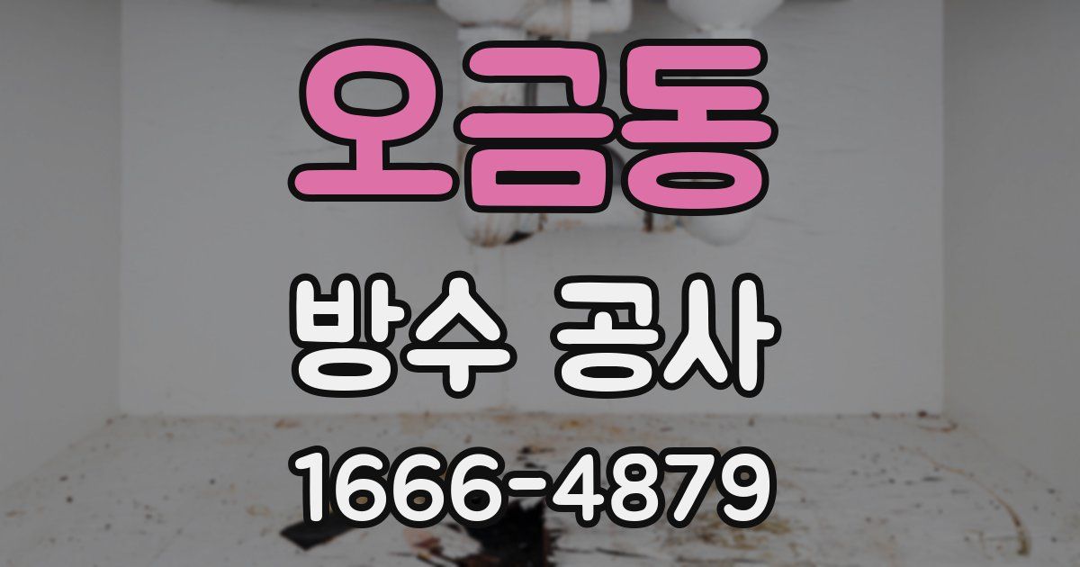 오금동 방수 공사