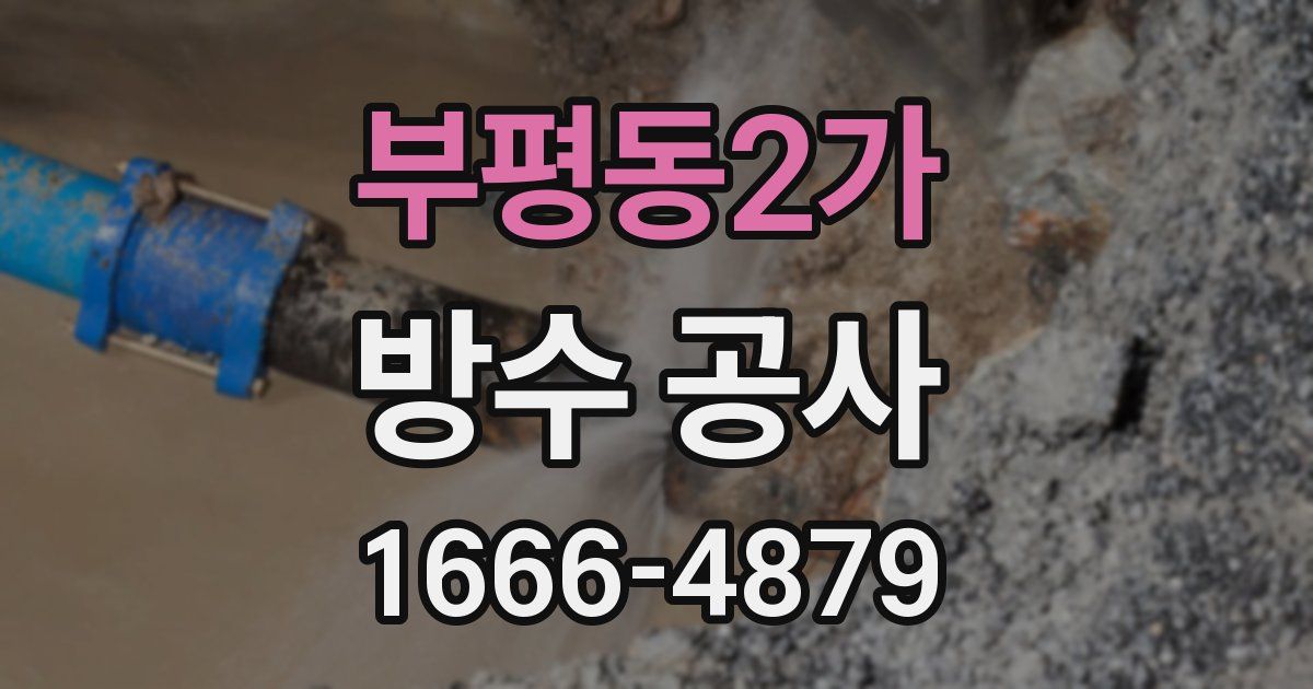 부평동2가 방수 공사