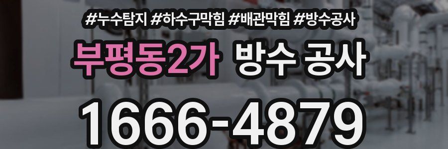 부평동2가 방수 공사