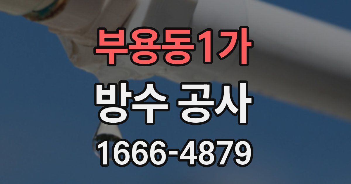 부용동1가 방수 공사