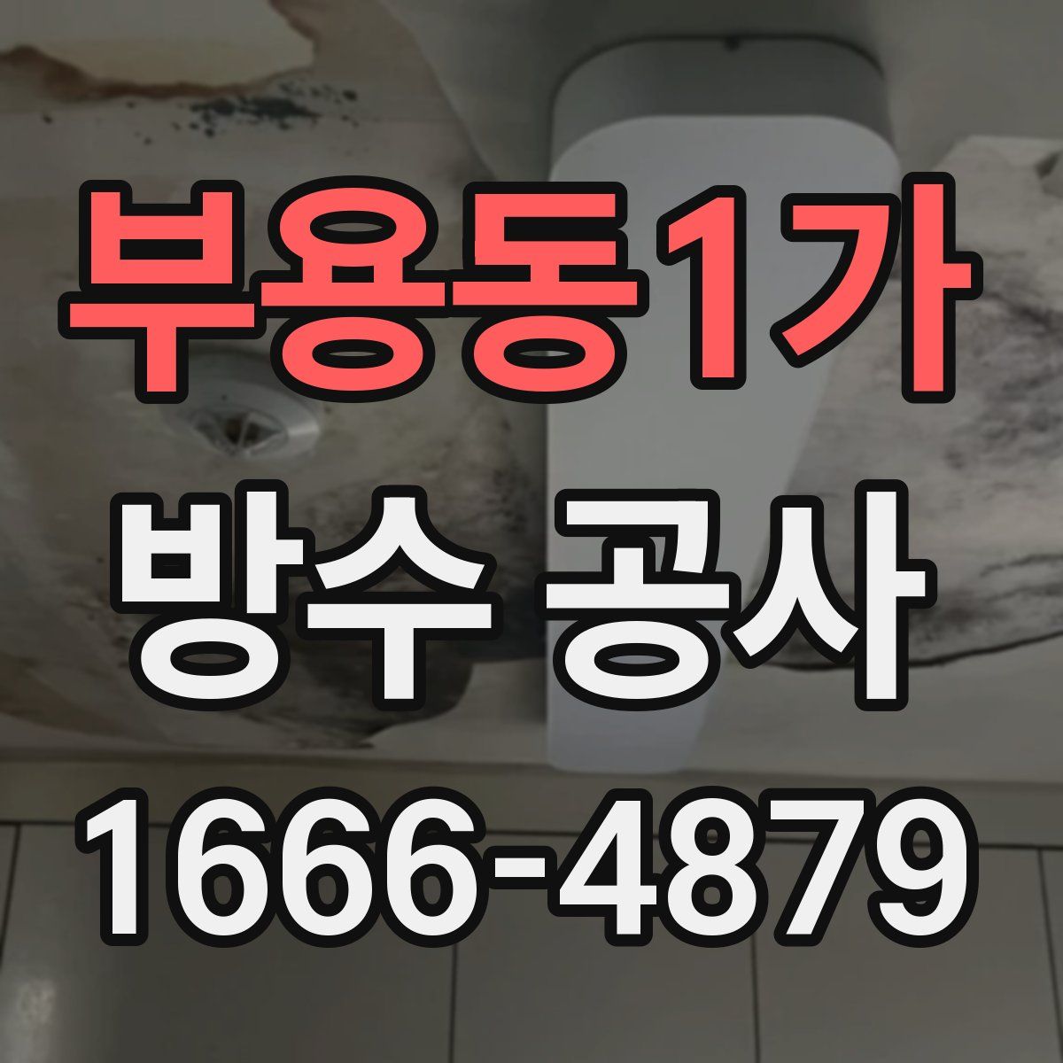 부용동1가 방수 공사