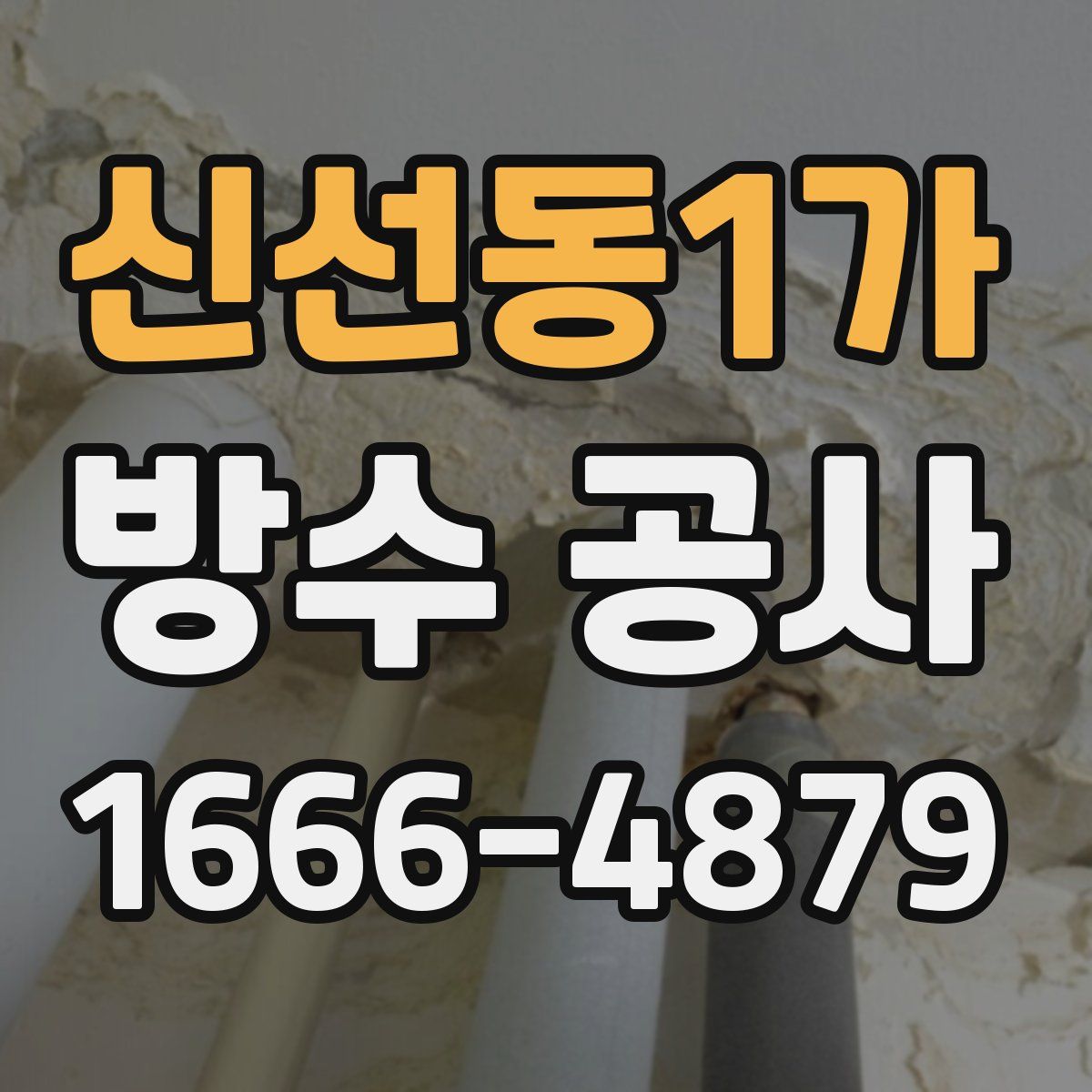 신선동1가 방수 공사