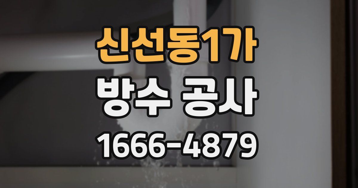 신선동1가 방수 공사