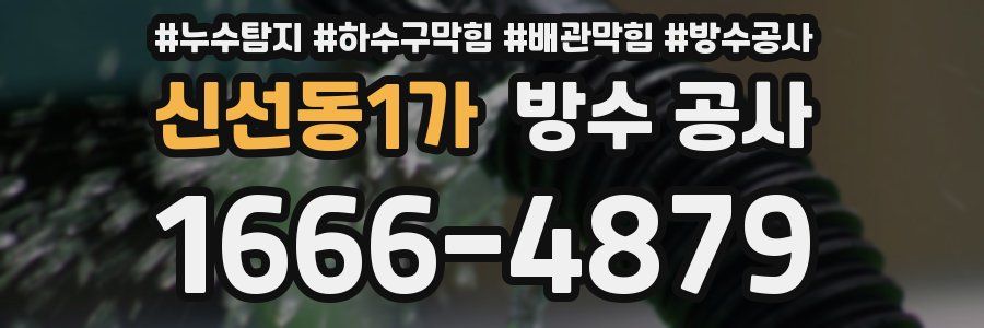 신선동1가 방수 공사