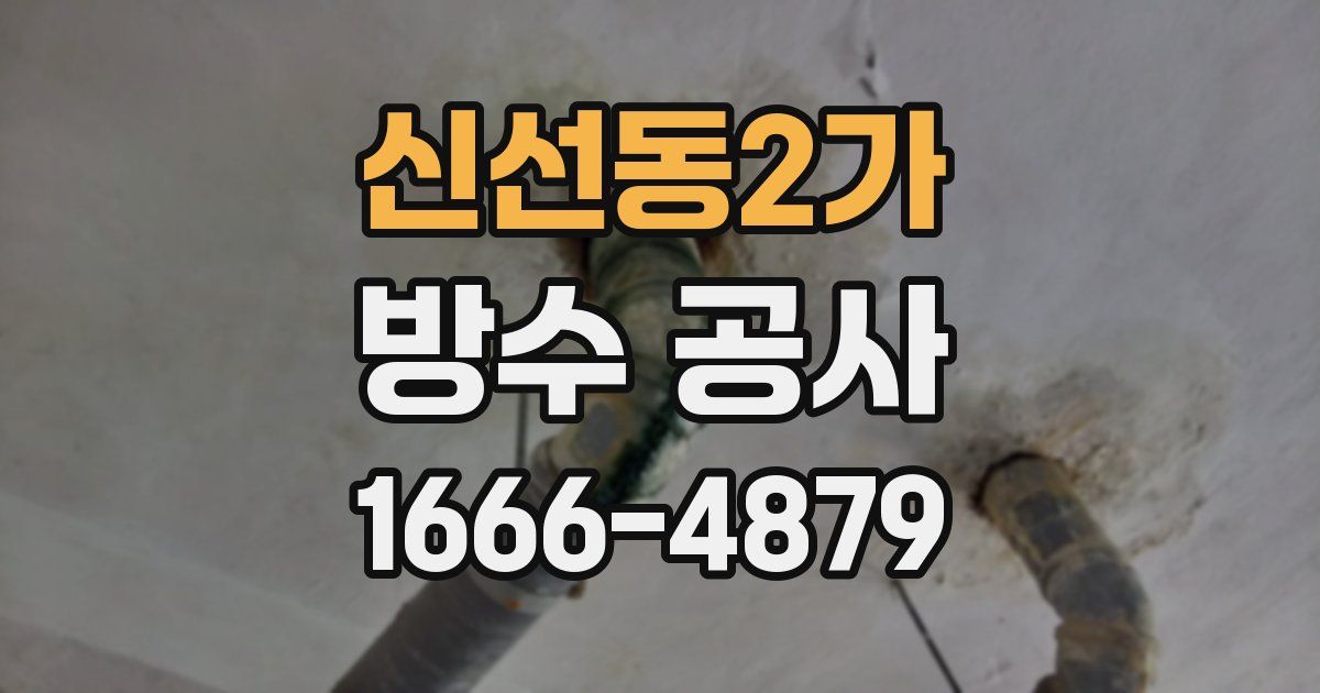신선동2가 방수 공사