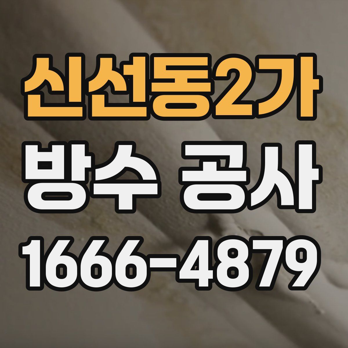 신선동2가 방수 공사