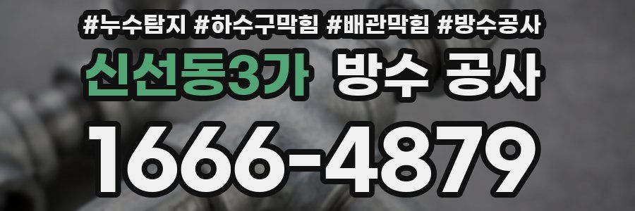 신선동3가 방수 공사