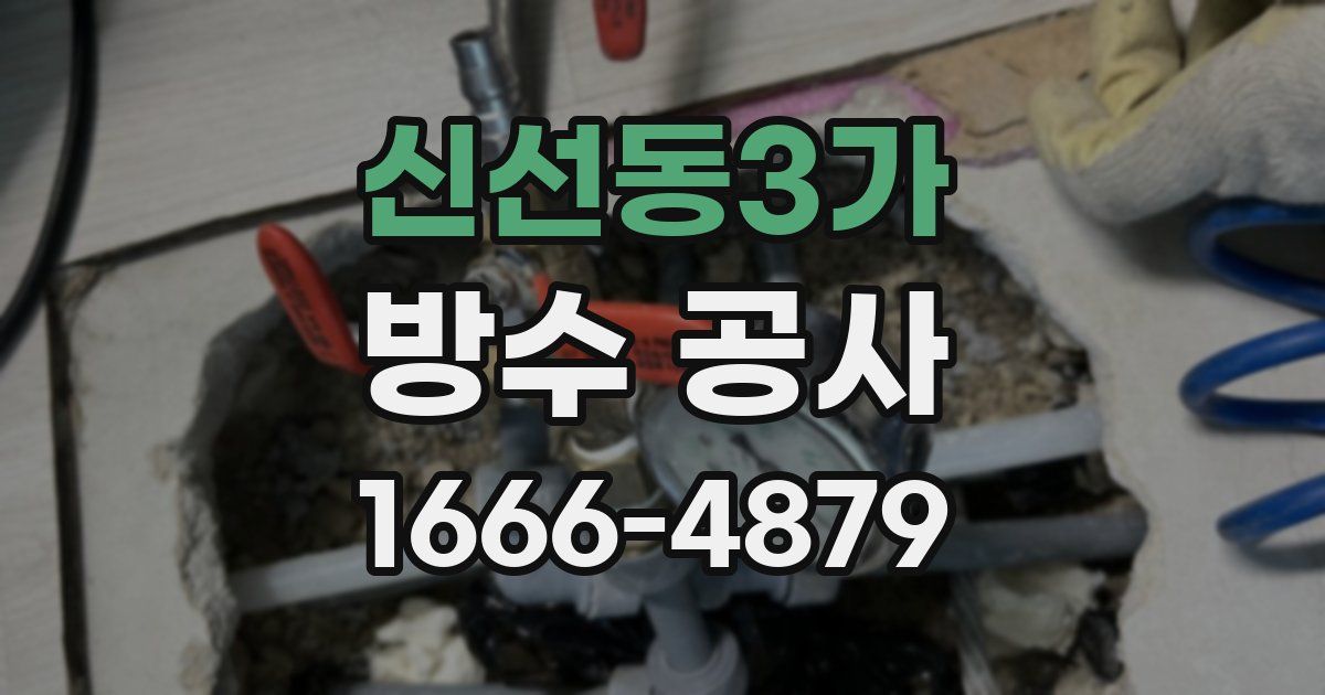 신선동3가 방수 공사