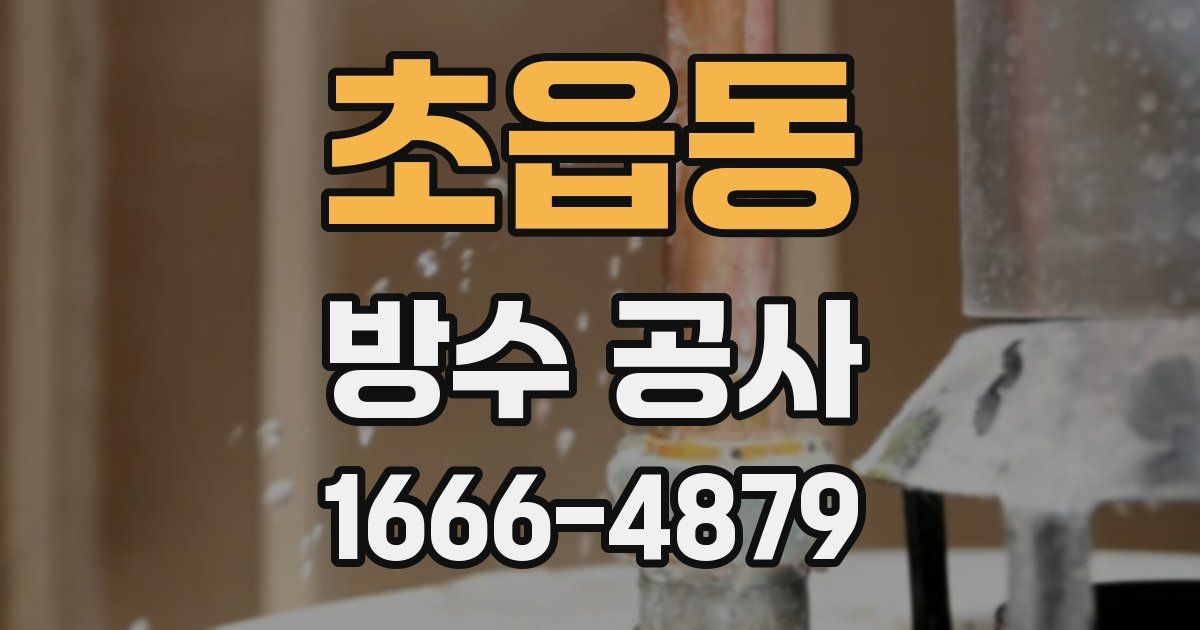 초읍동 방수 공사