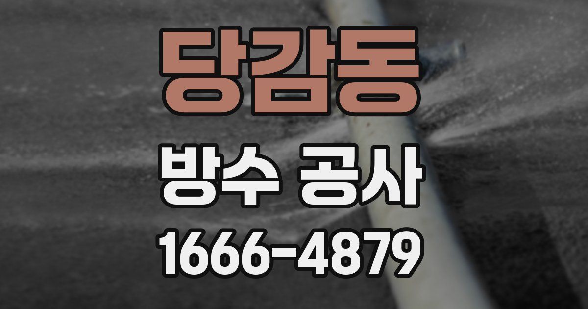 당감동 방수 공사