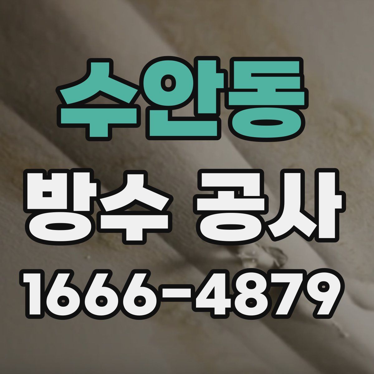 수안동 방수 공사