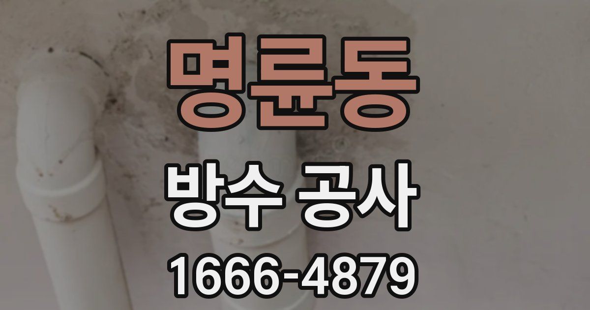 명륜동 방수 공사
