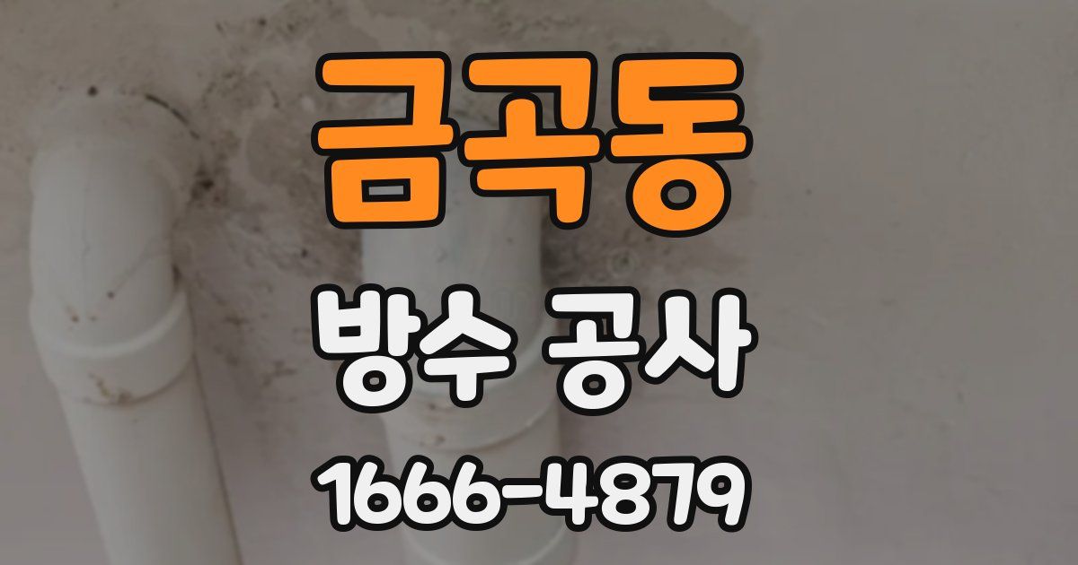 금곡동 방수 공사