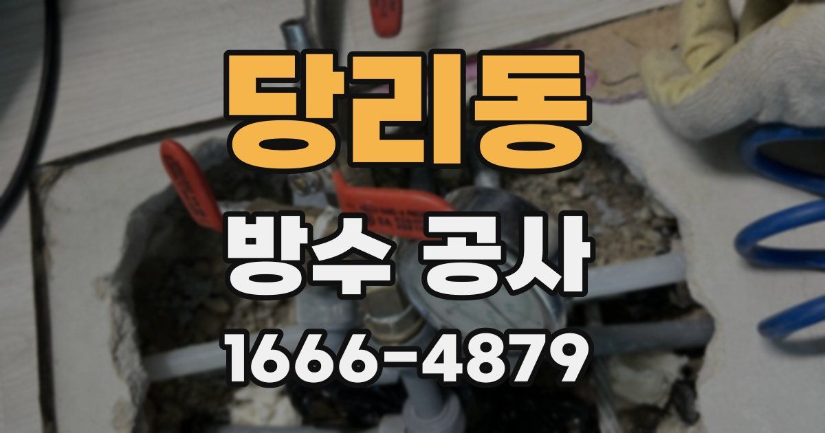 당리동 방수 공사