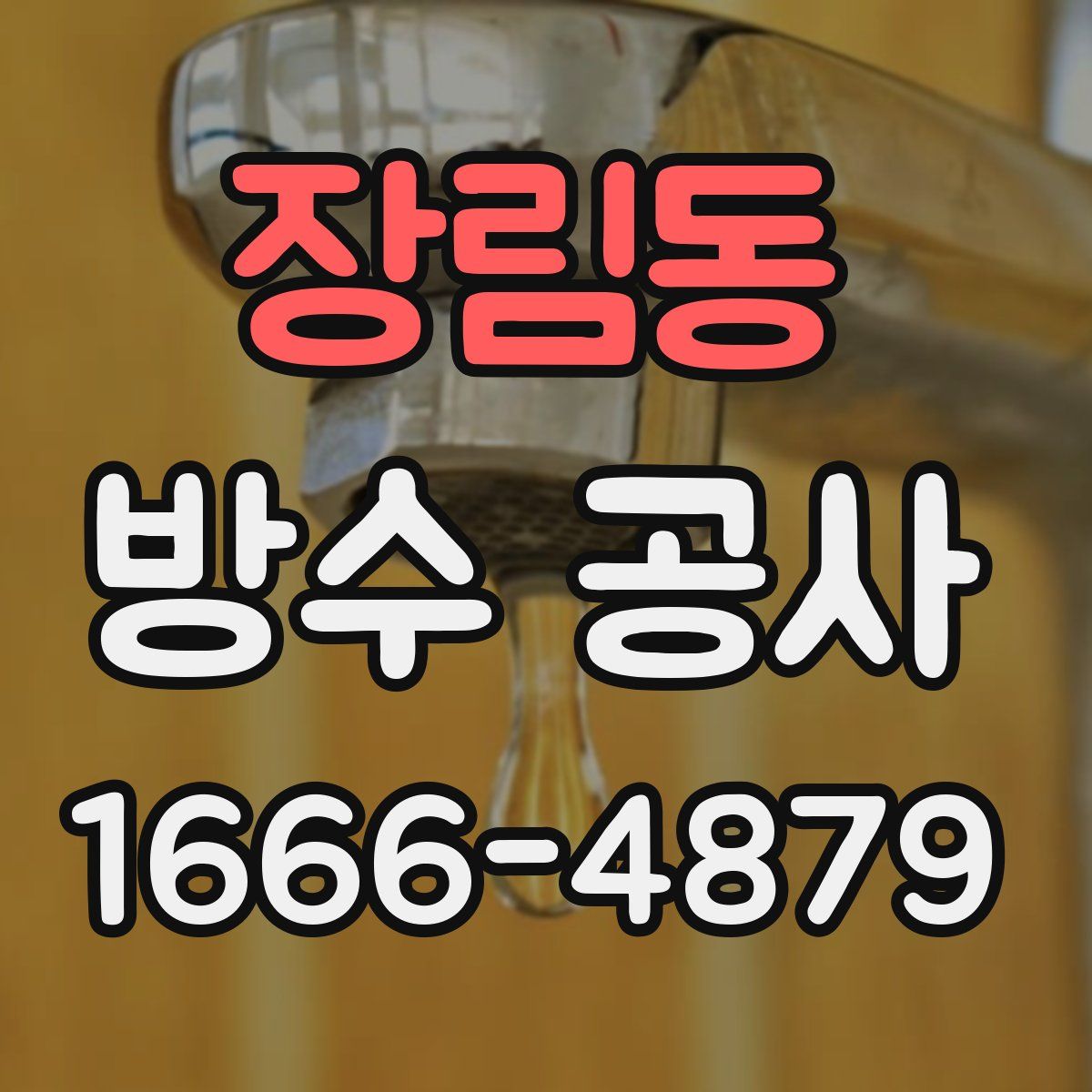 장림동 방수 공사