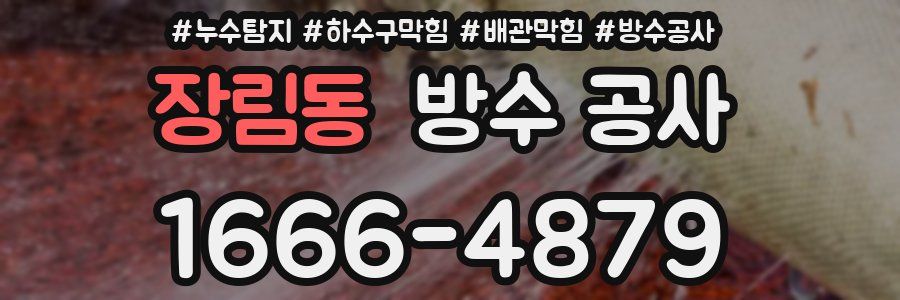 장림동 방수 공사