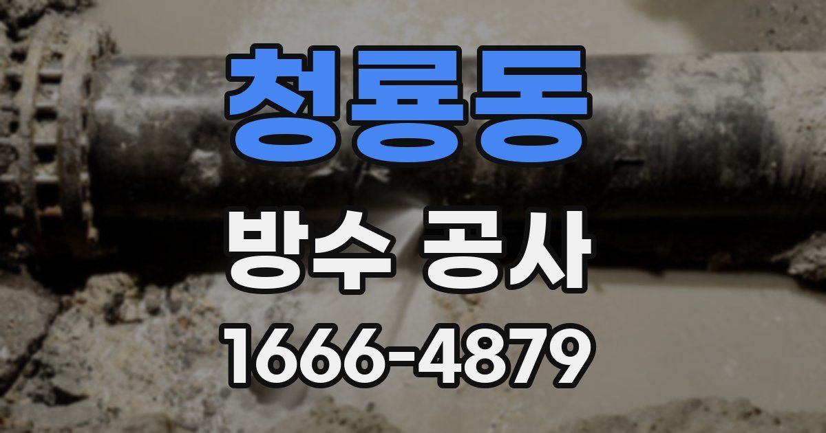 청룡동 방수 공사