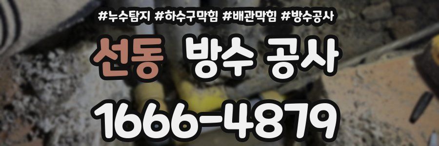 선동 방수 공사