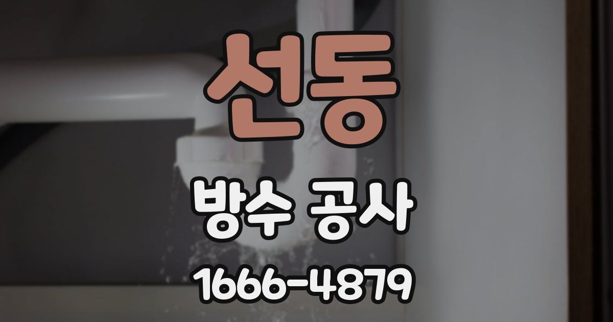 선동 방수 공사