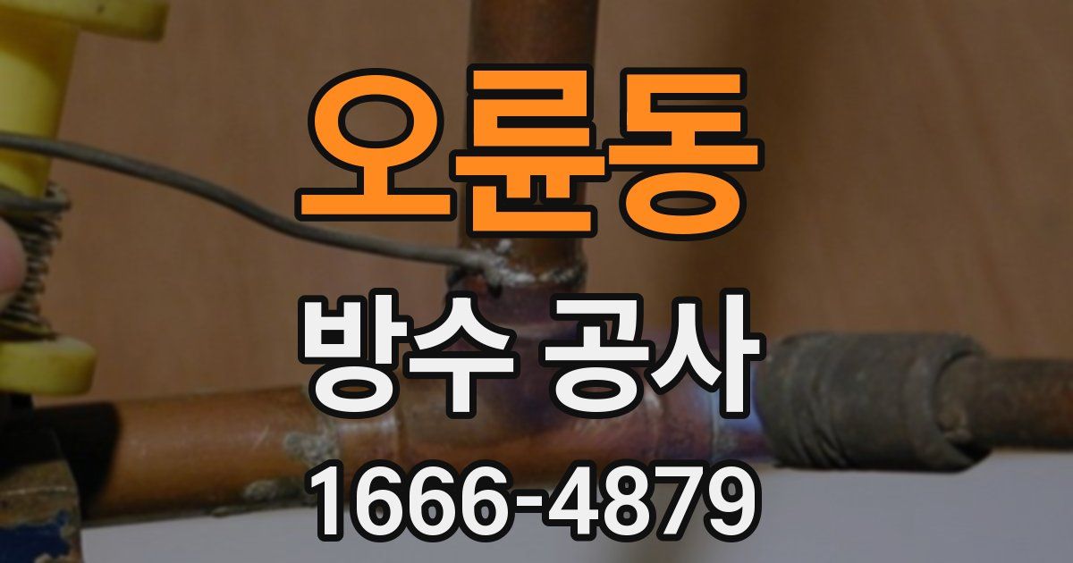 오륜동 방수 공사