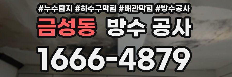 금성동 방수 공사