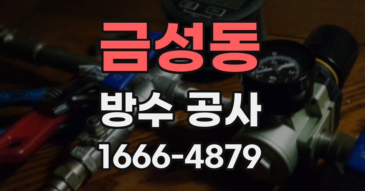 금성동 방수 공사