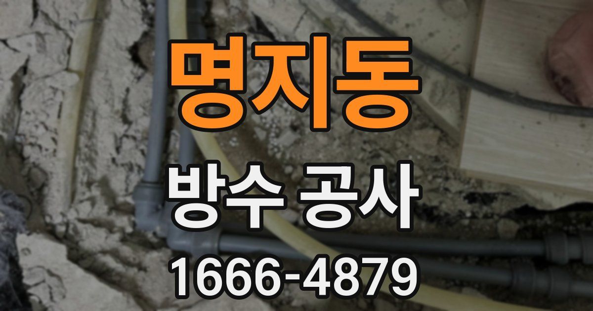 명지동 방수 공사