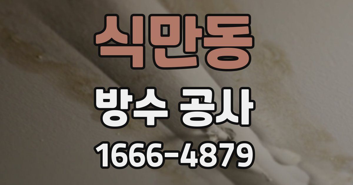 식만동 방수 공사