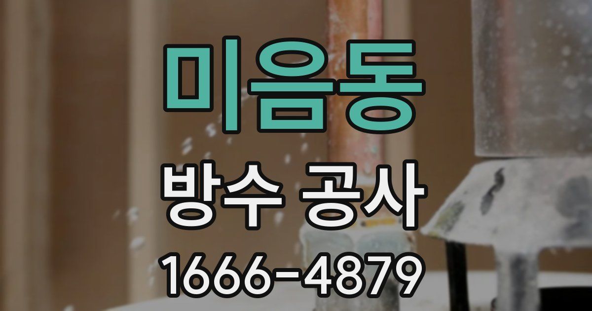 미음동 방수 공사
