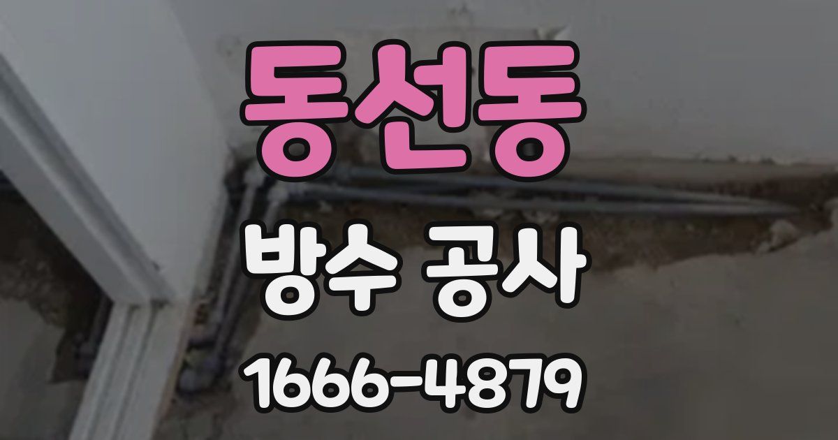 동선동 방수 공사
