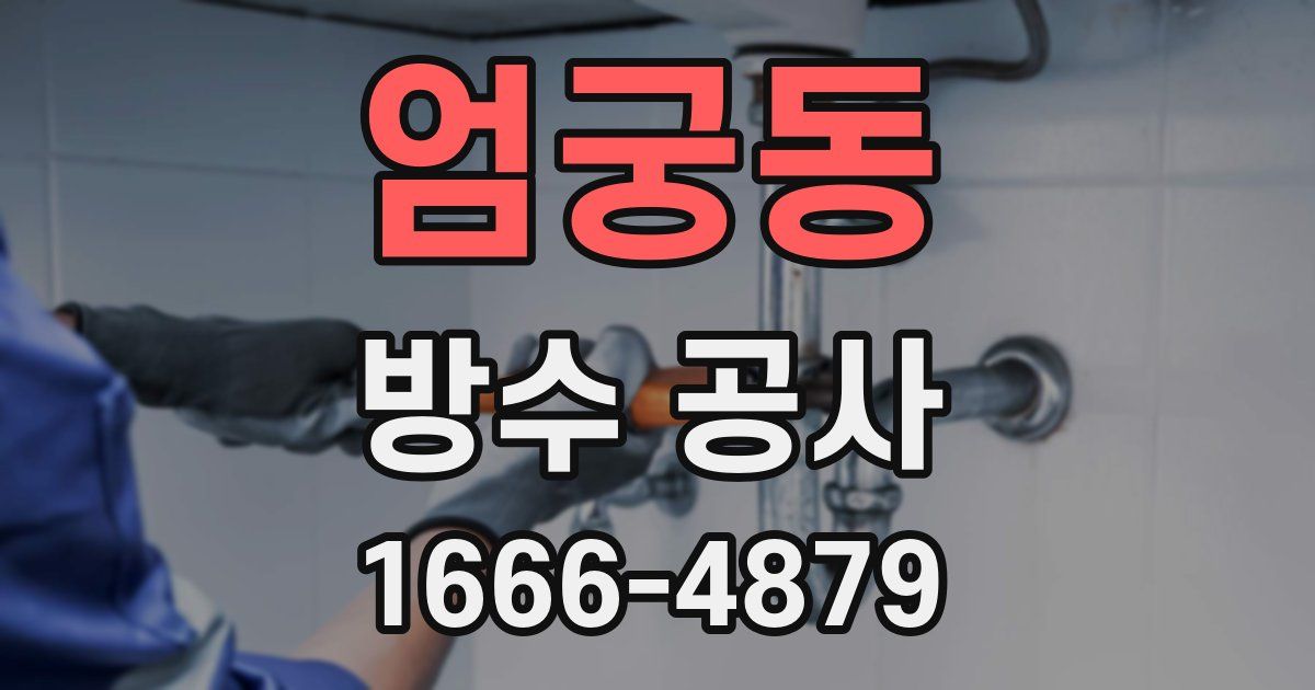 엄궁동 방수 공사