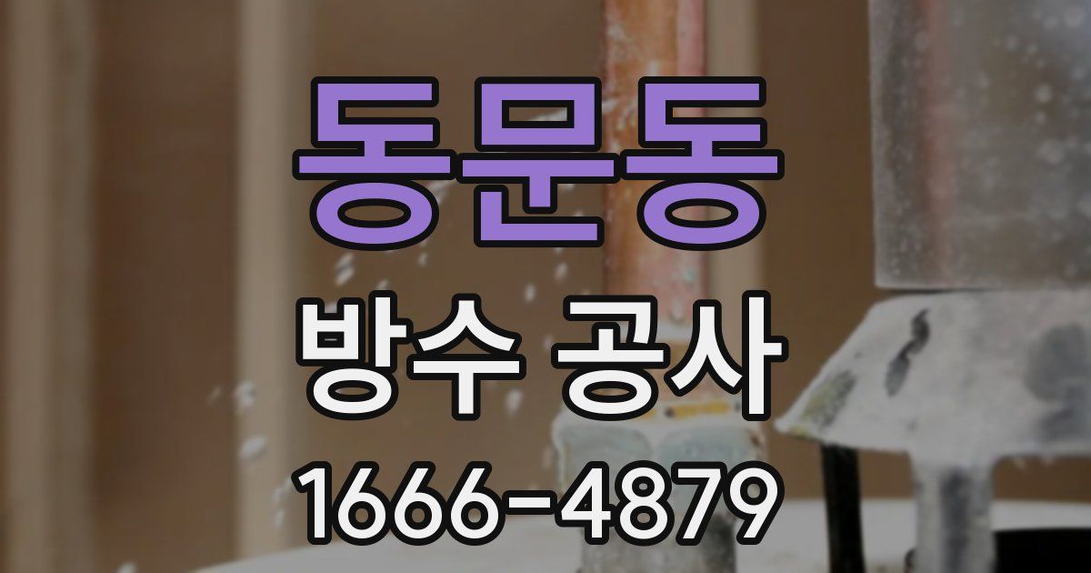 동문동 방수 공사