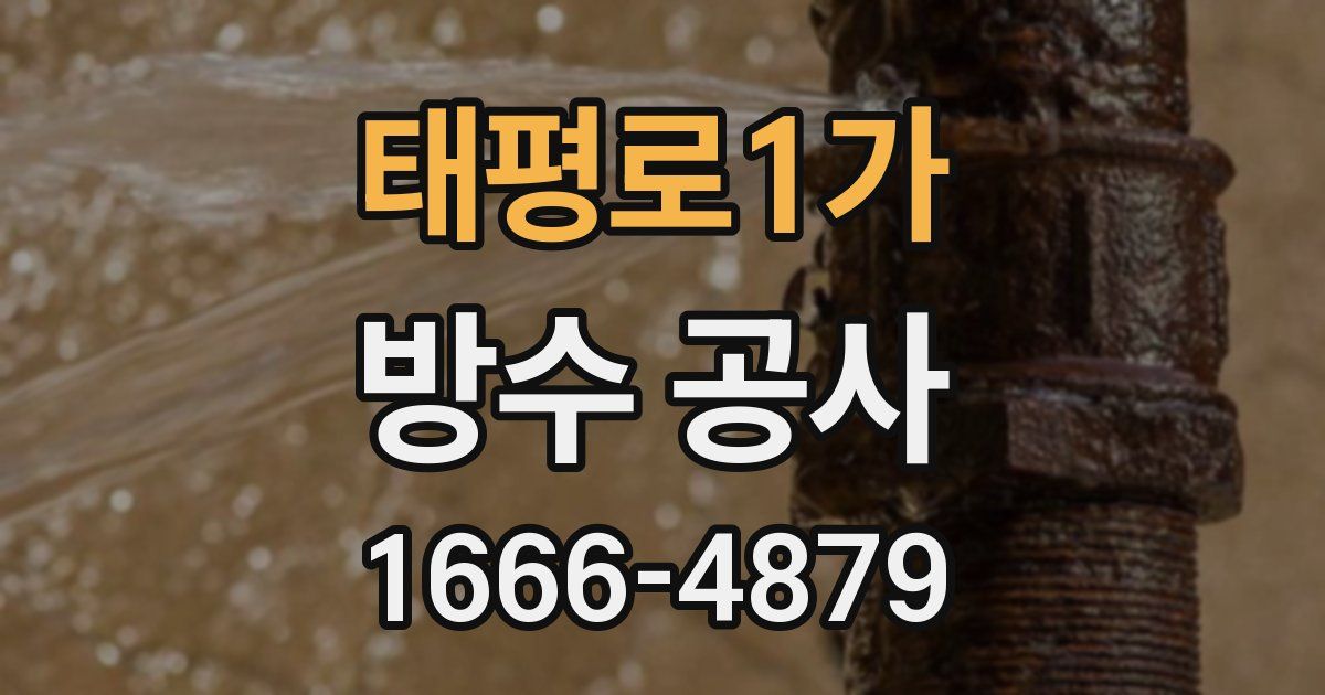 태평로1가 방수 공사