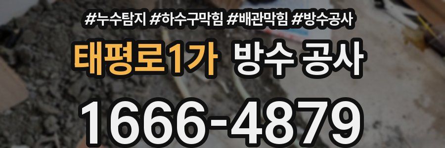 태평로1가 방수 공사