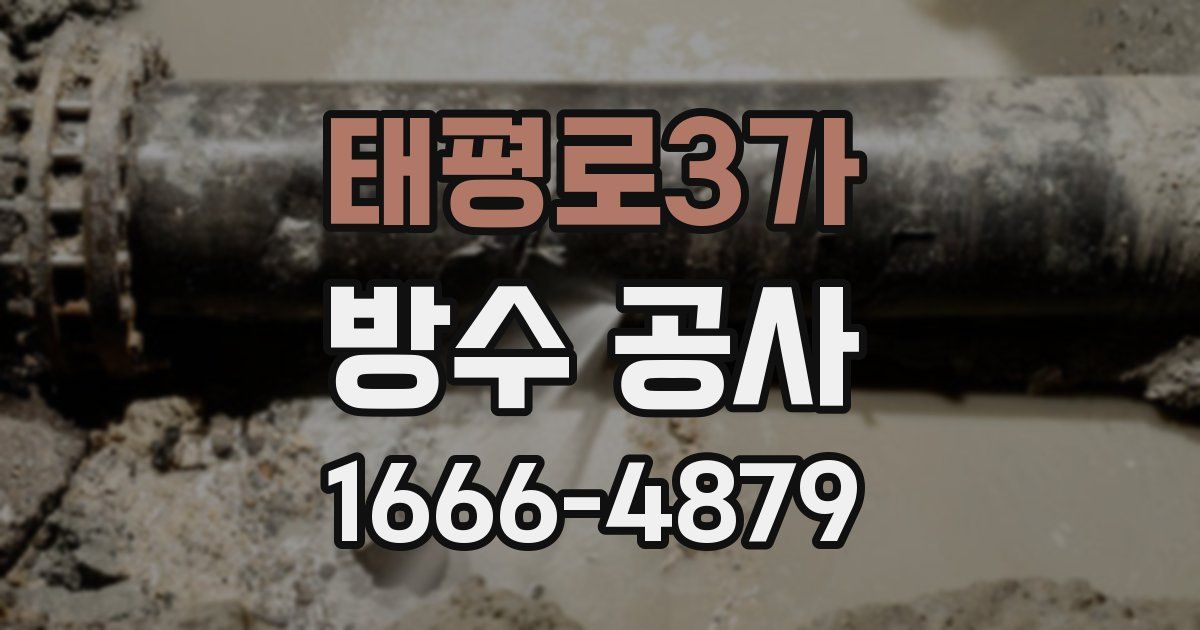 태평로3가 방수 공사