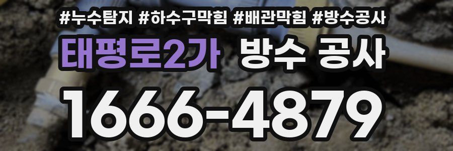 태평로2가 방수 공사