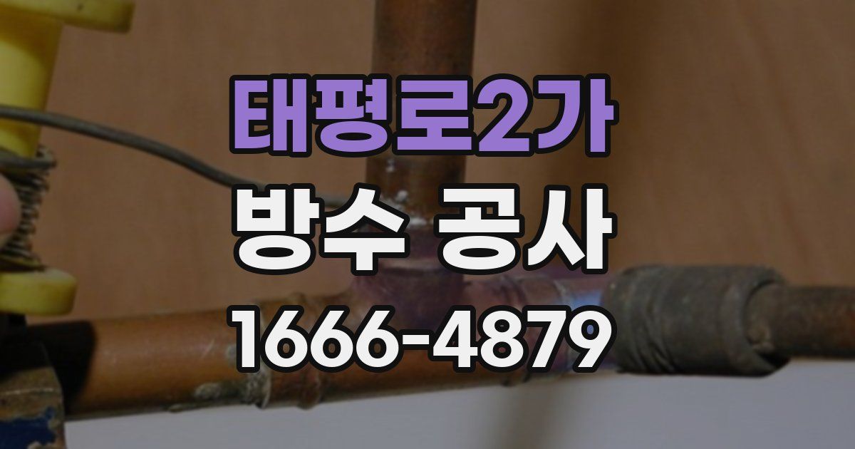 태평로2가 방수 공사