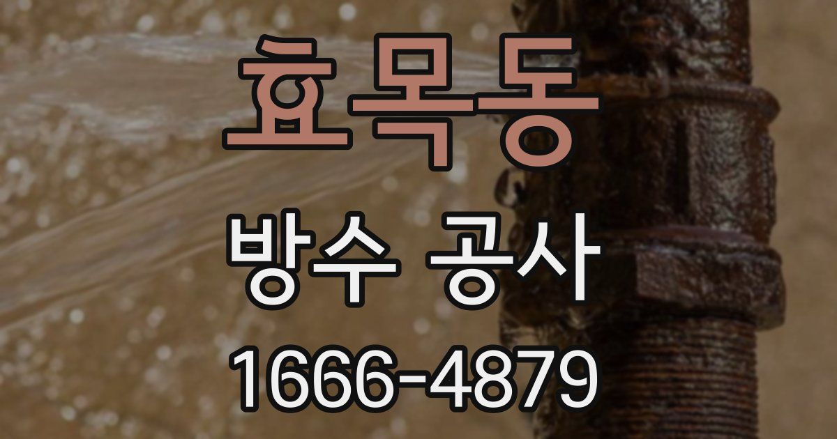 효목동 방수 공사