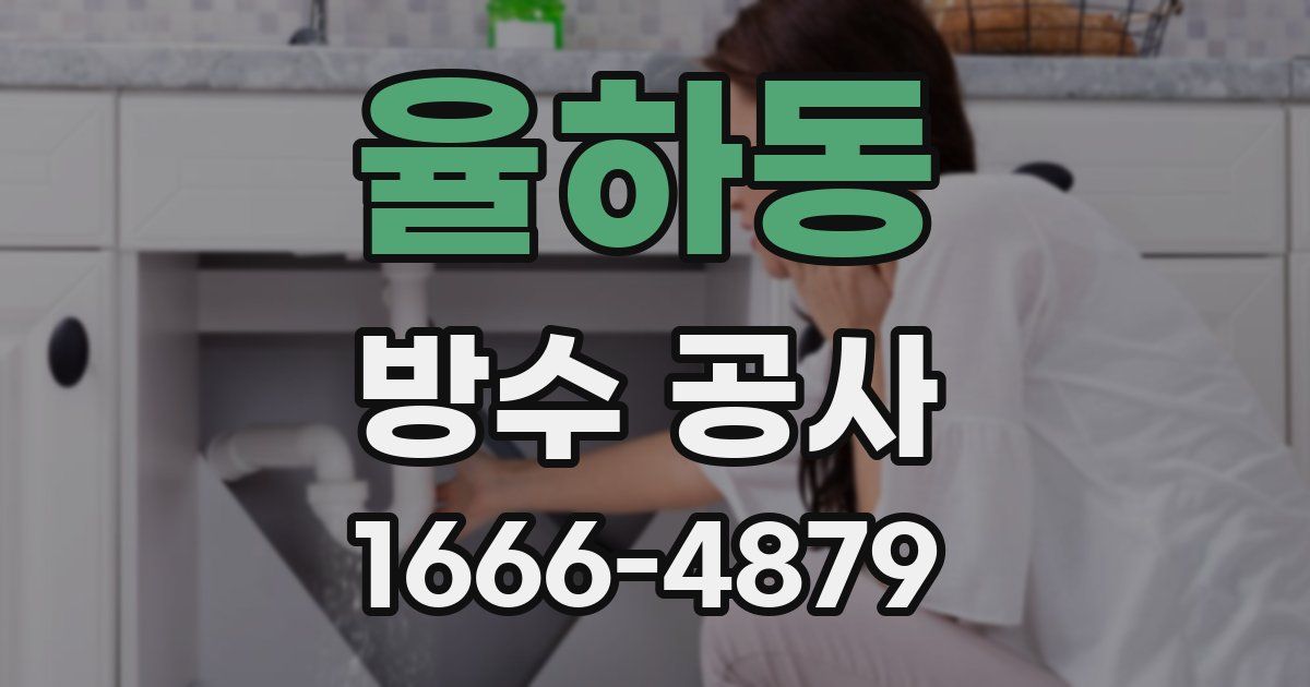 율하동 방수 공사
