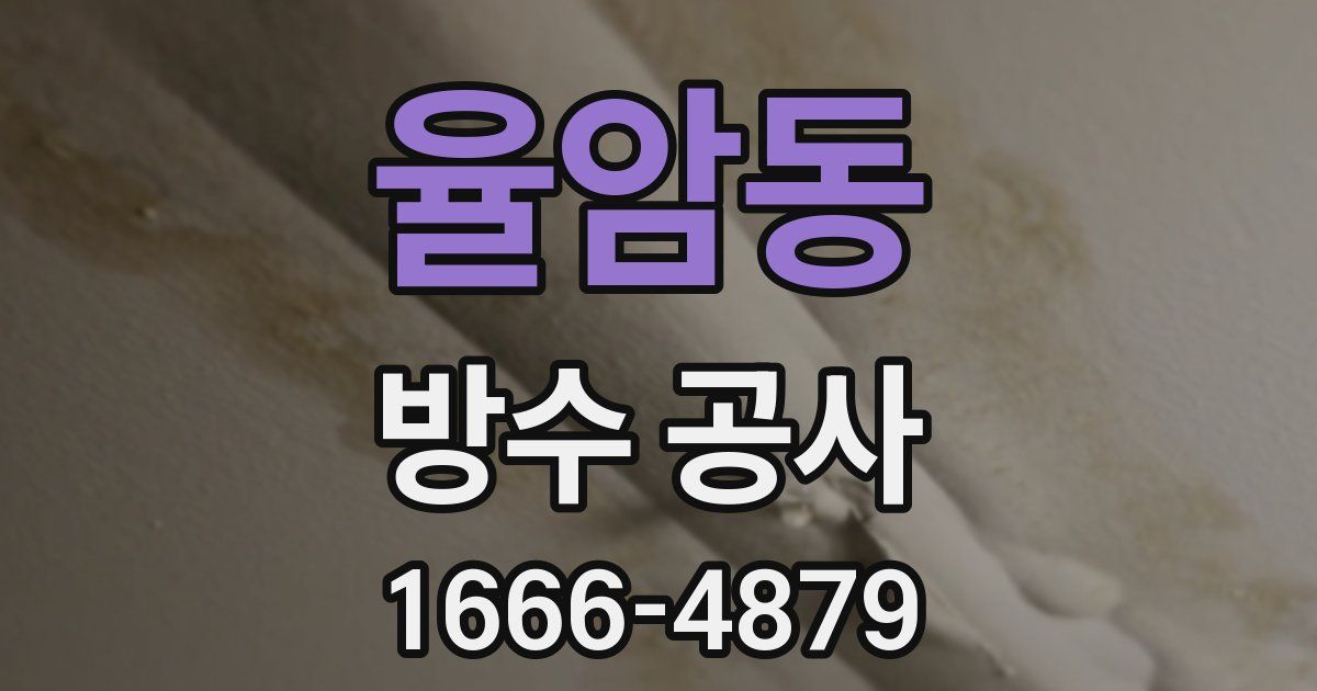 율암동 방수 공사