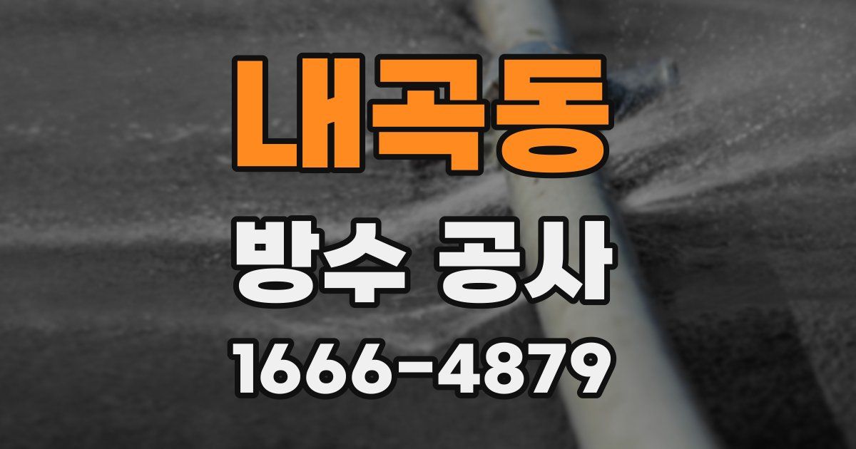 내곡동 방수 공사