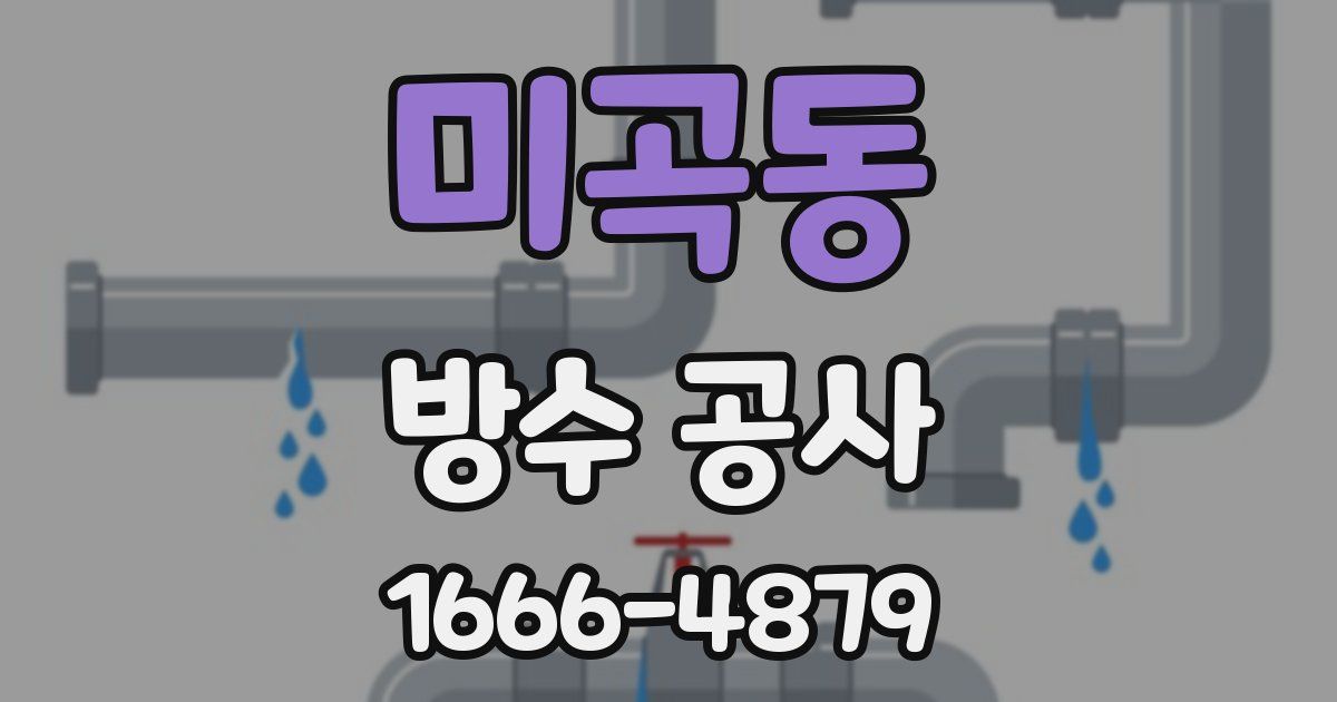 미곡동 방수 공사
