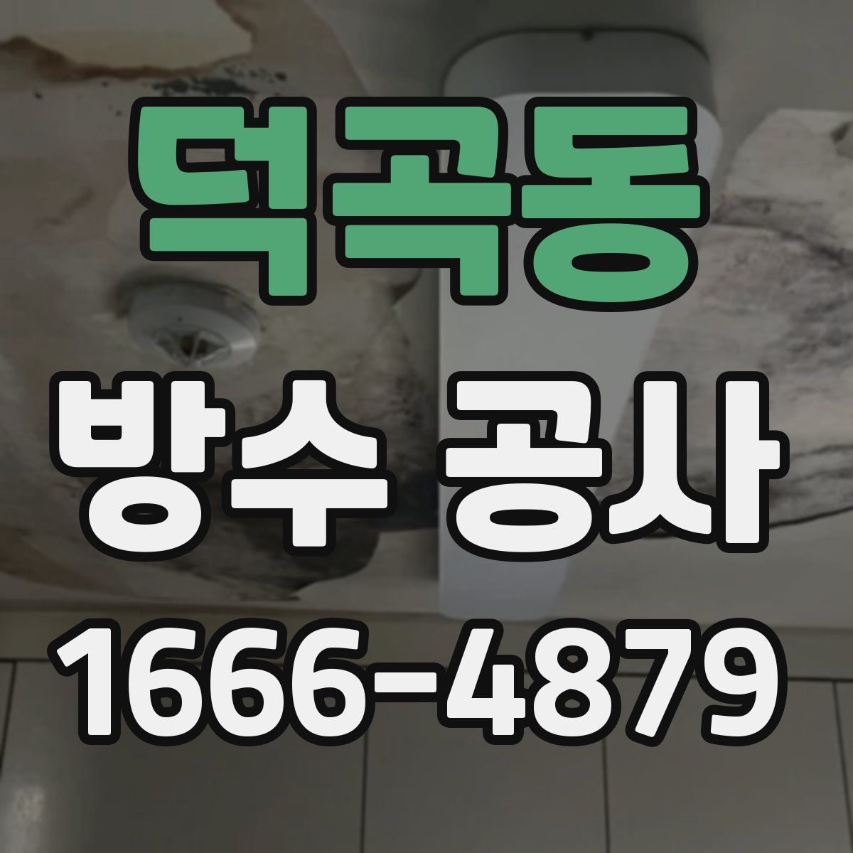 덕곡동 방수 공사