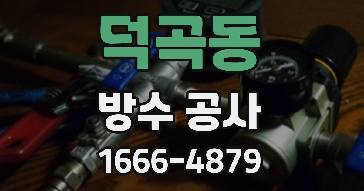 덕곡동 방수 공사