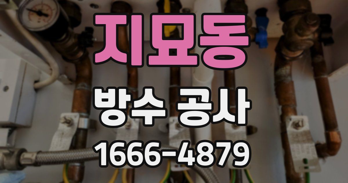지묘동 방수 공사