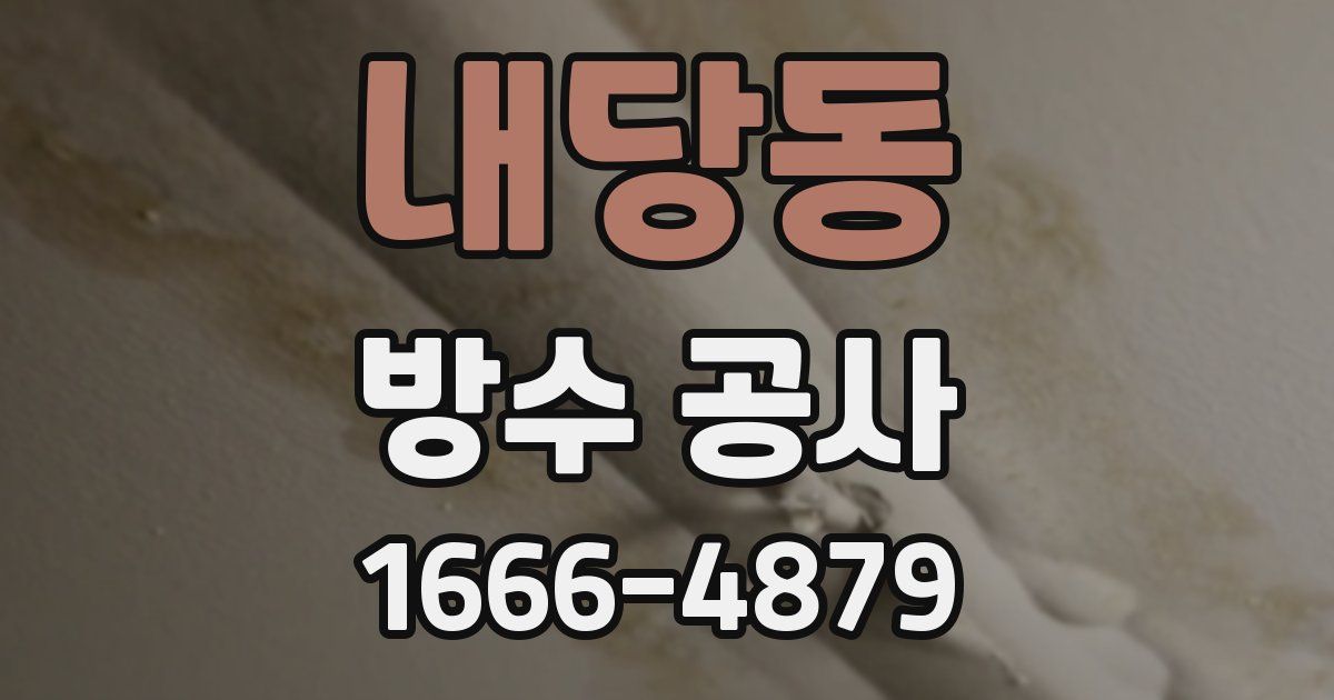 내당동 방수 공사